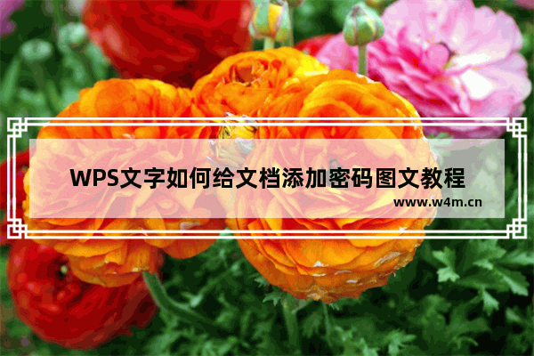 WPS文字如何给文档添加密码图文教程