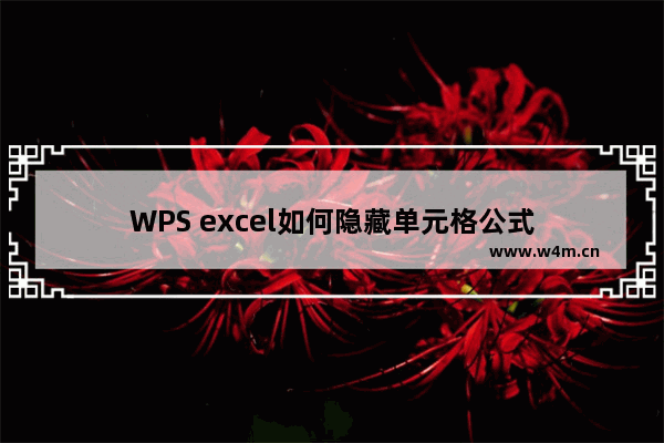 WPS excel如何隐藏单元格公式