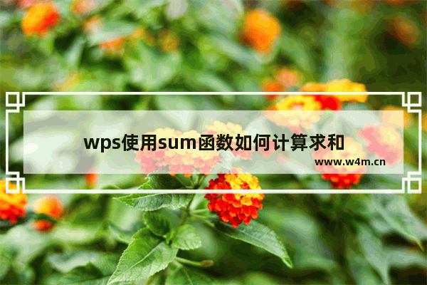 wps使用sum函数如何计算求和