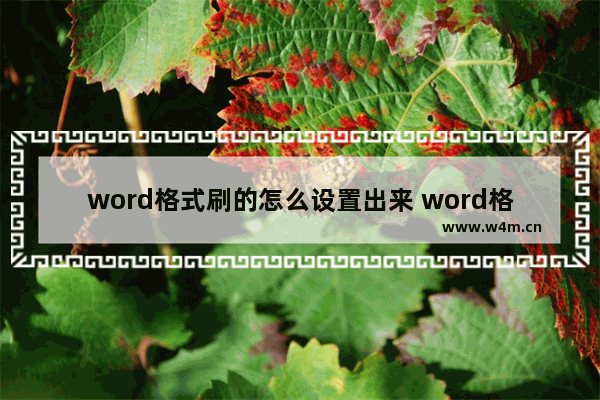 word格式刷的怎么设置出来 word格式刷怎么用?