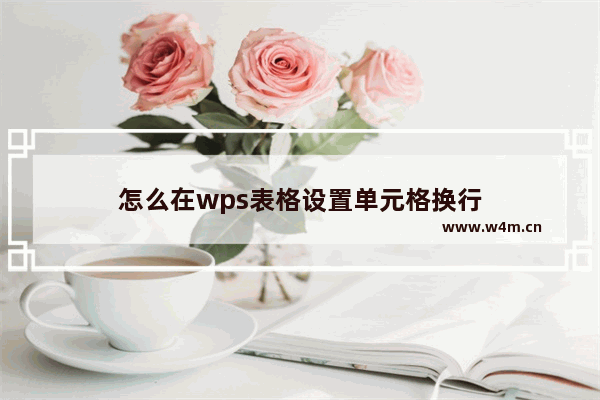 怎么在wps表格设置单元格换行