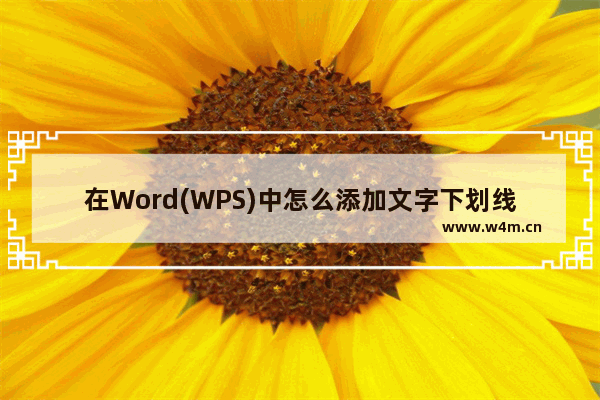 在Word(WPS)中怎么添加文字下划线并进行设置?