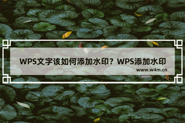 WPS文字该如何添加水印？WPS添加水印的方法