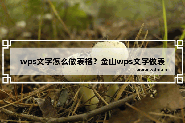 wps文字怎么做表格？金山wps文字做表格方法2则