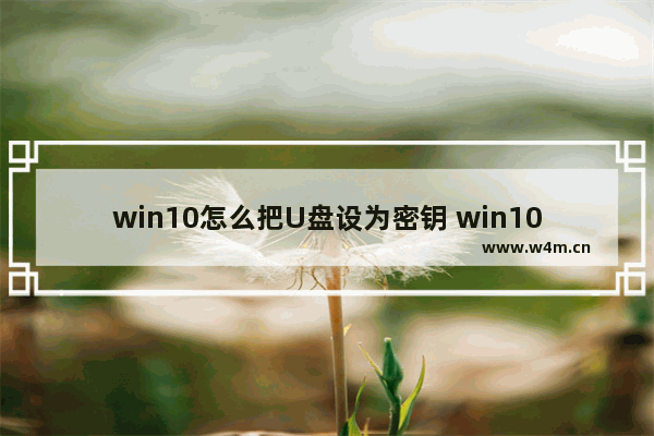 win10怎么把U盘设为密钥 win10系统怎么给u盘设置密码