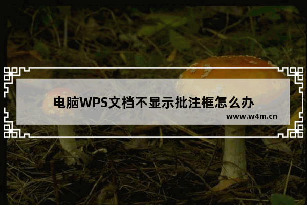 电脑WPS文档不显示批注框怎么办