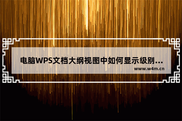 电脑WPS文档大纲视图中如何显示级别内容