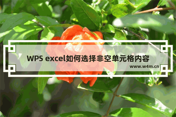 WPS excel如何选择非空单元格内容