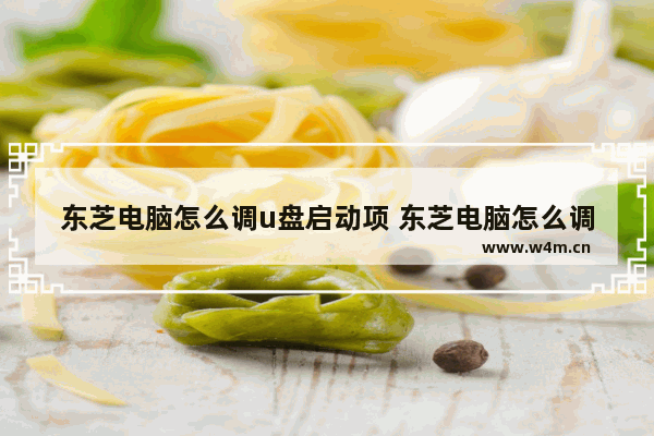 东芝电脑怎么调u盘启动项 东芝电脑怎么调u盘启动项位置