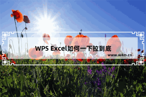 WPS Excel如何一下拉到底