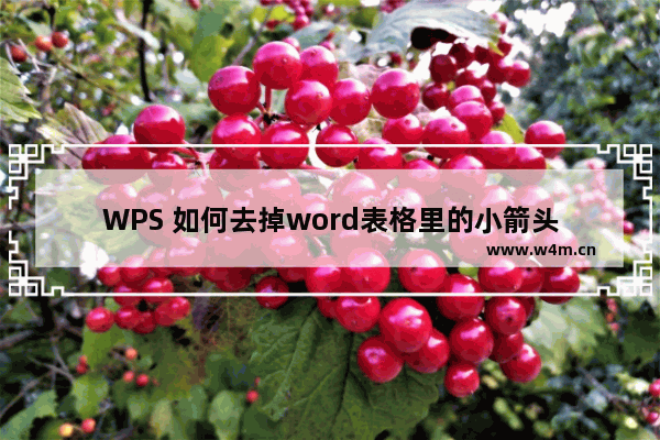 WPS 如何去掉word表格里的小箭头