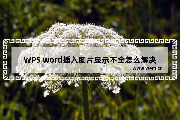 WPS word插入图片显示不全怎么解决