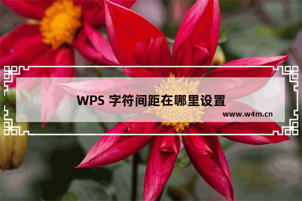 WPS 字符间距在哪里设置