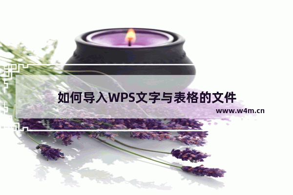 如何导入WPS文字与表格的文件