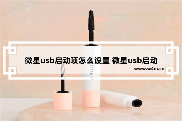 微星usb启动项怎么设置 微星usb启动盘bios设置