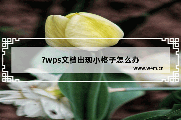 ?wps文档出现小格子怎么办