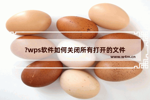 ?wps软件如何关闭所有打开的文件