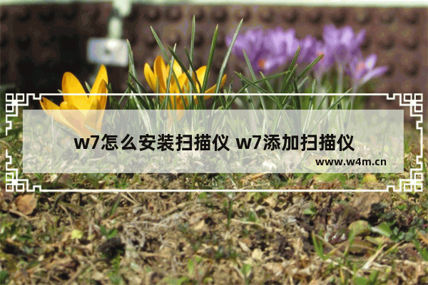 w7怎么安装扫描仪 w7添加扫描仪