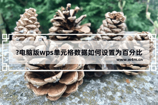 ?电脑版wps单元格数据如何设置为百分比