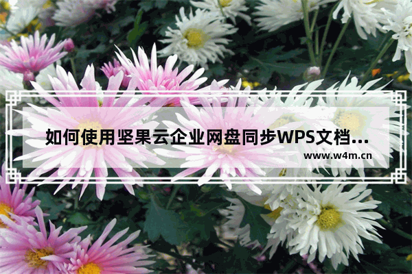 如何使用坚果云企业网盘同步WPS文档数据