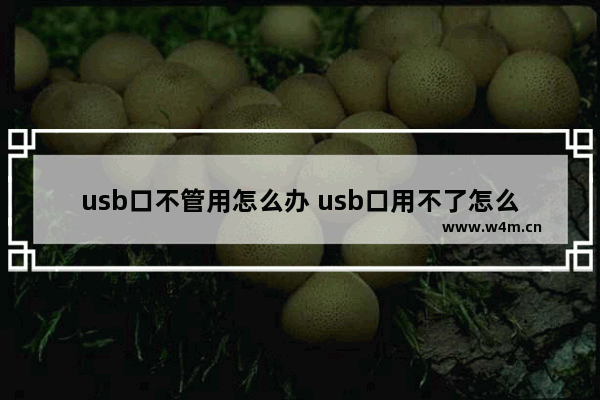 usb口不管用怎么办 usb口用不了怎么办