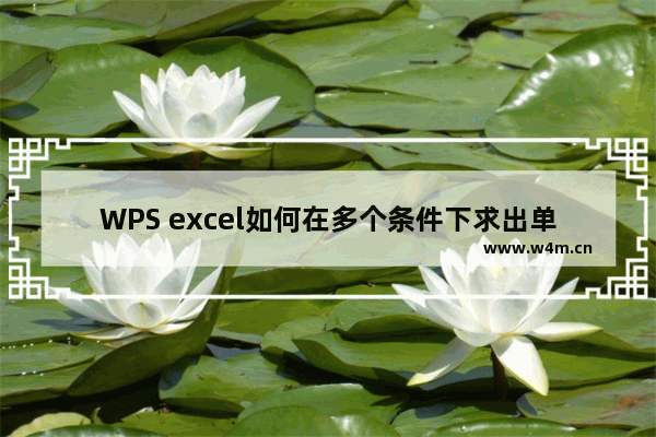 WPS excel如何在多个条件下求出单个条件的总和