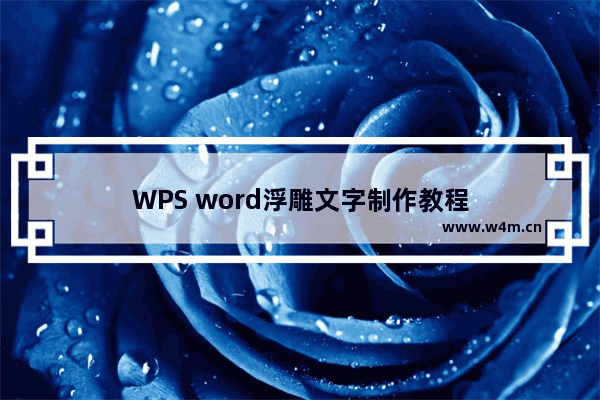 WPS word浮雕文字制作教程