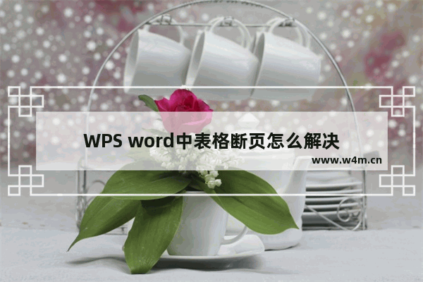 WPS word中表格断页怎么解决