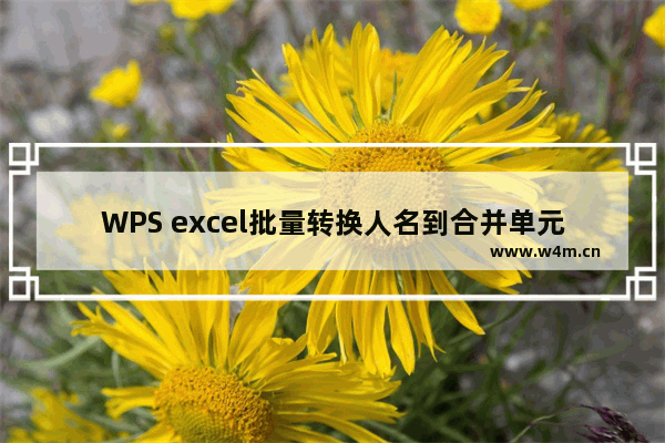 WPS excel批量转换人名到合并单元格