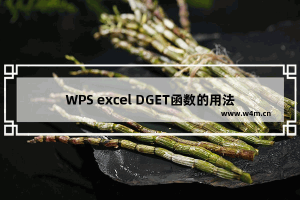 WPS excel DGET函数的用法