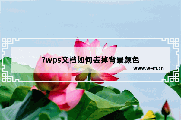 ?wps文档如何去掉背景颜色