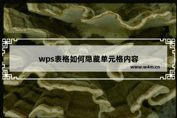 wps表格如何隐藏单元格内容