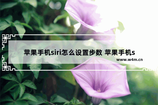 苹果手机siri怎么设置步数 苹果手机siri怎么设置步数功能