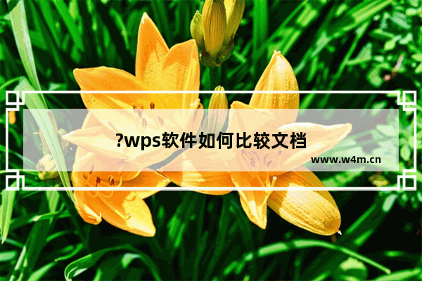 ?wps软件如何比较文档