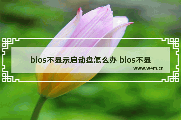 bios不显示启动盘怎么办 bios不显示启动盘怎么办