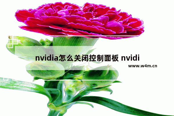 nvidia怎么关闭控制面板 nvidia控制面板怎么关闭自启动