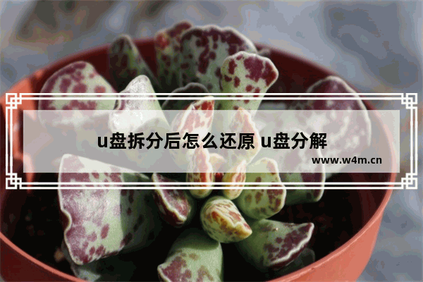 u盘拆分后怎么还原 u盘分解