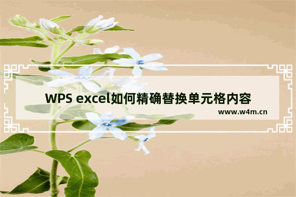 WPS excel如何精确替换单元格内容