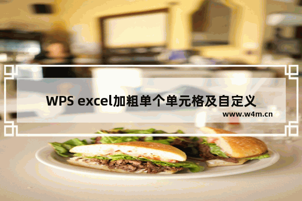 WPS excel加粗单个单元格及自定义边框线条的方法