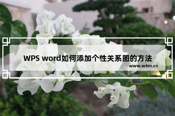 WPS word如何添加个性关系图的方法