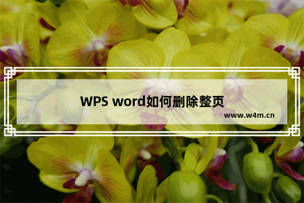 WPS word如何删除整页