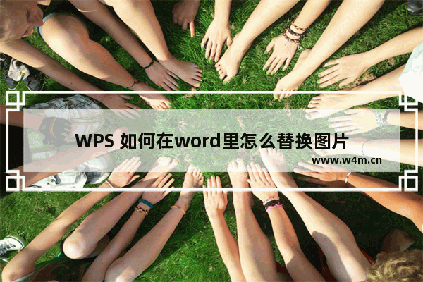 WPS 如何在word里怎么替换图片