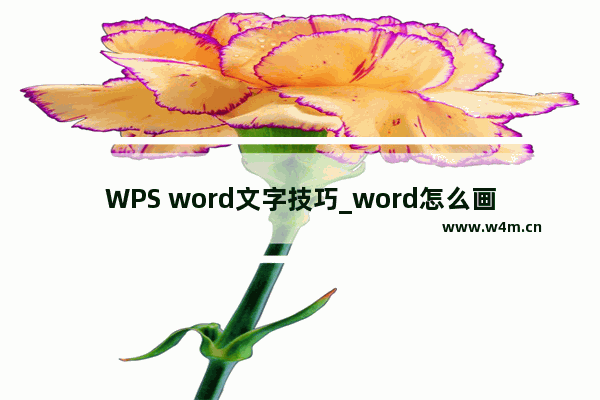 WPS word文字技巧_word怎么画虚线