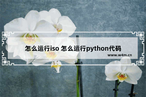 怎么运行iso 怎么运行python代码