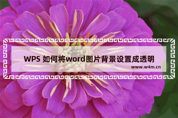 WPS 如何将word图片背景设置成透明