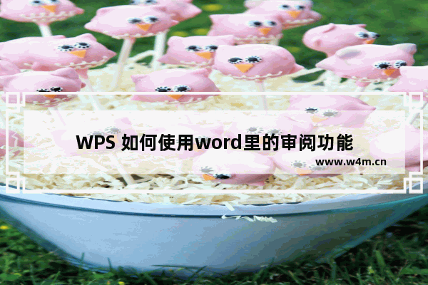 WPS 如何使用word里的审阅功能