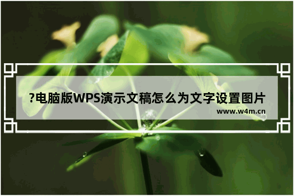 ?电脑版WPS演示文稿怎么为文字设置图片填充