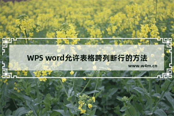 WPS word允许表格跨列断行的方法