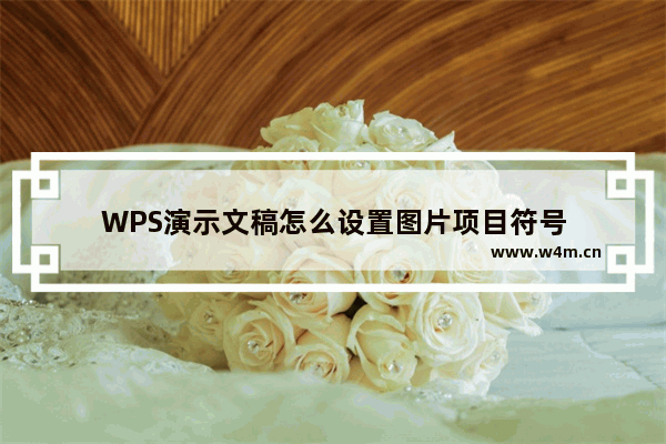 WPS演示文稿怎么设置图片项目符号