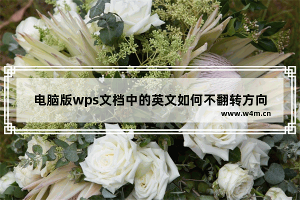 电脑版wps文档中的英文如何不翻转方向